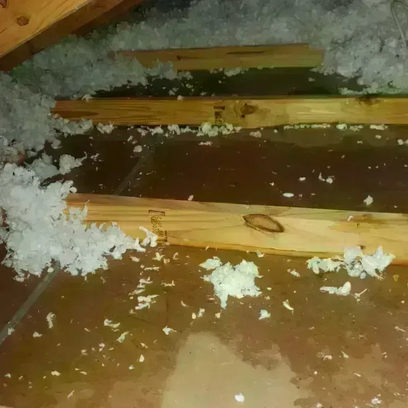 Attic Water Damage in Taylor County, WI