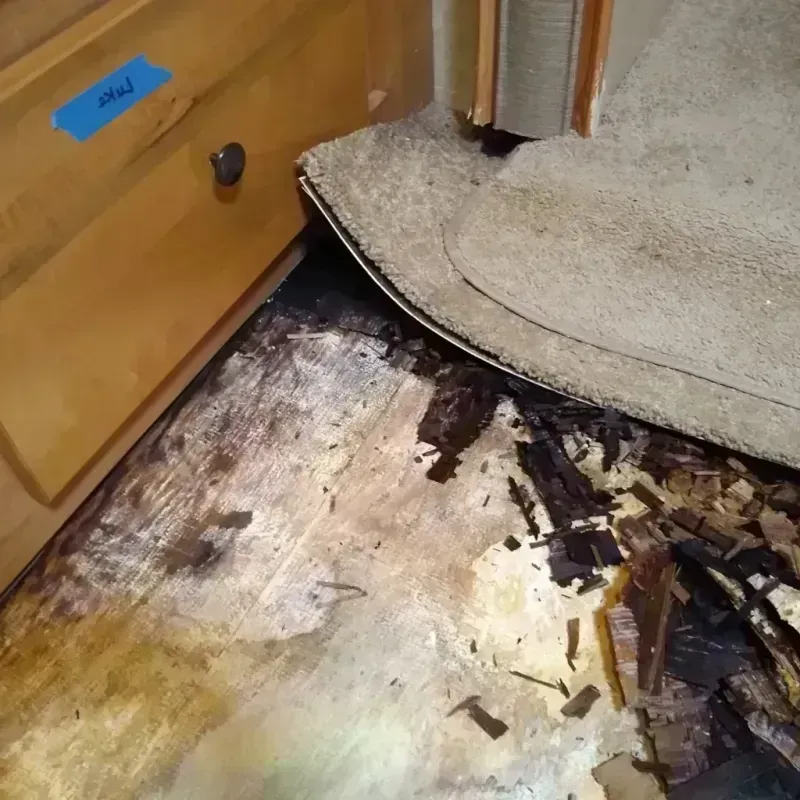 Wood Floor Water Damage in Taylor County, WI